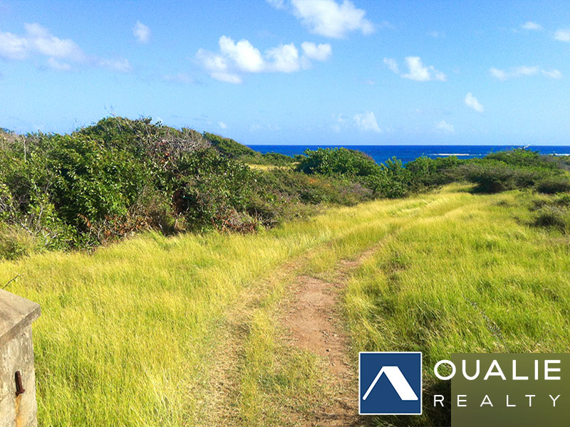 4 of 4 from Oualie Realty