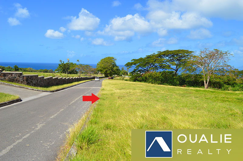 3 of 5 from Oualie Realty