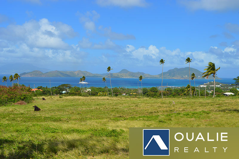 4 of 5 from Oualie Realty