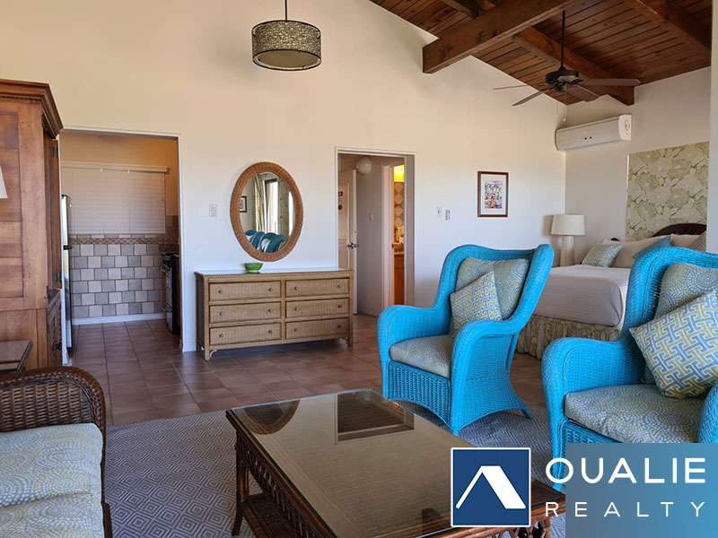 6 of 14 from Oualie Realty