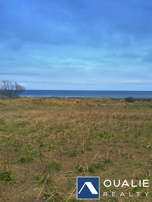 2 of 4 from Oualie Realty