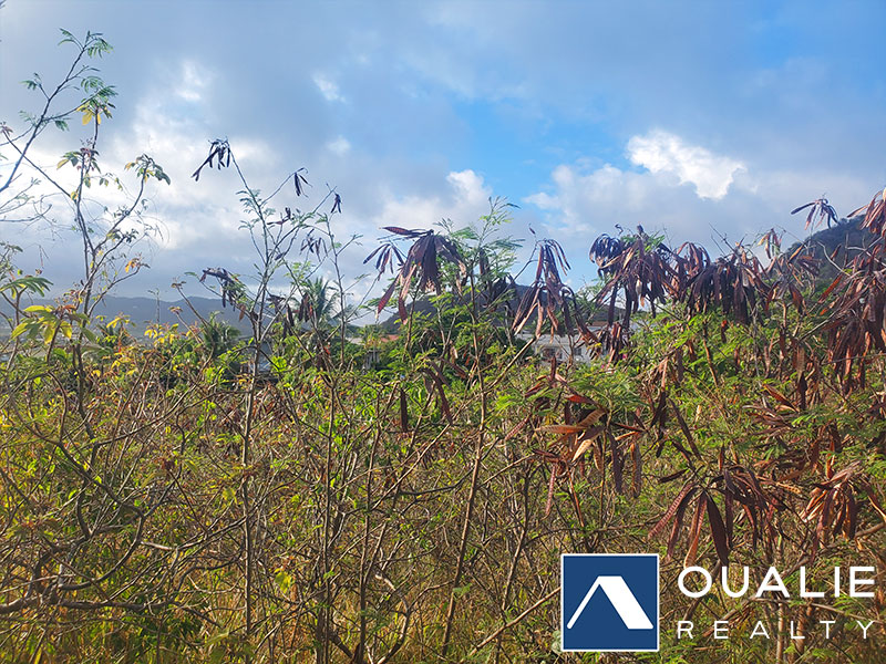 2 of 3 from Oualie Realty