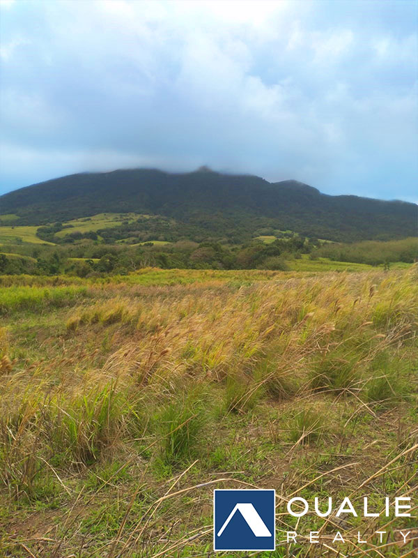 3 of 3 from Oualie Realty