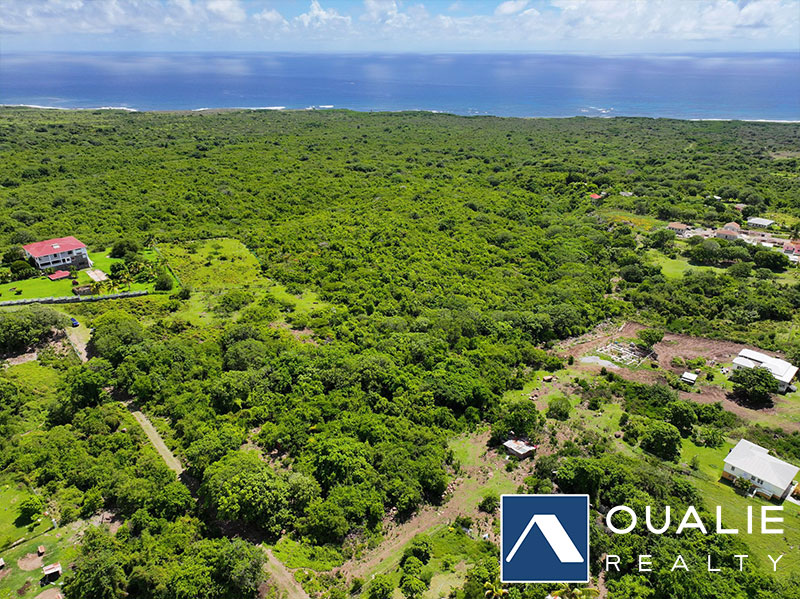 2 of 5 from Oualie Realty