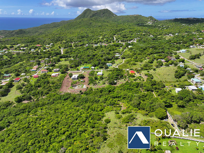 4 of 5 from Oualie Realty