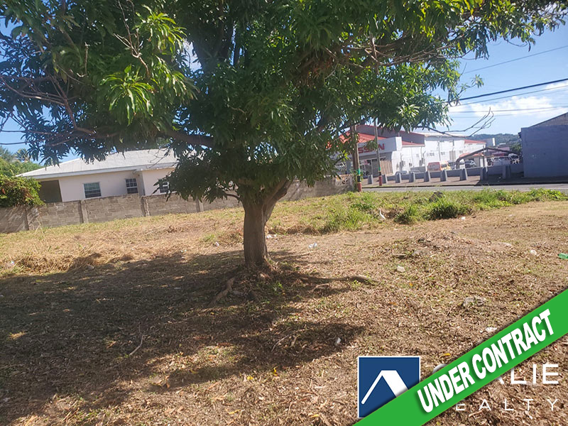 1 of 3 from Oualie Realty