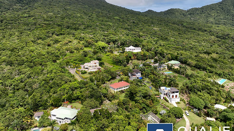 4 of 16 from Oualie Realty