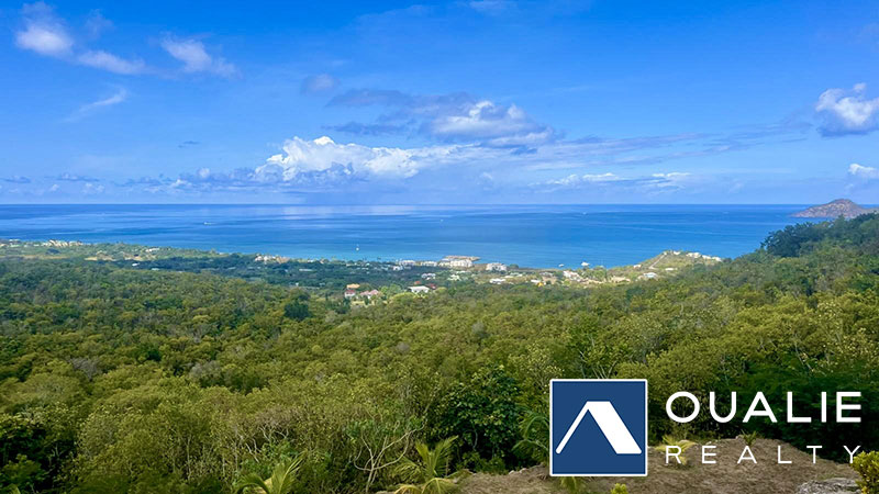 17 of 26 from Oualie Realty