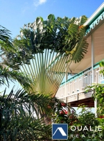 18 of 18 thumbnail from Coldwell Banker St Kitts and Nevis Realty